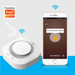 Báo cháy WIFI cho gia đình không dây NAGA-SW01